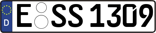 E-SS1309
