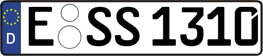 E-SS1310