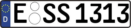 E-SS1313