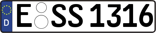 E-SS1316