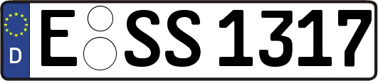E-SS1317
