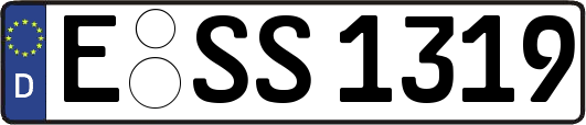 E-SS1319