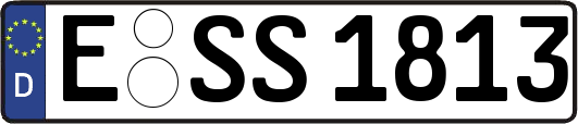 E-SS1813