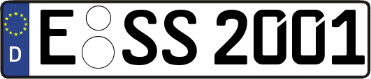 E-SS2001