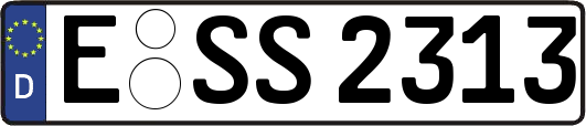 E-SS2313