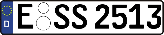 E-SS2513