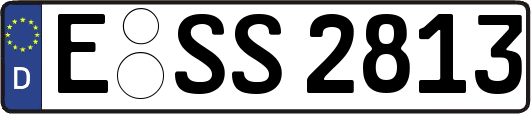 E-SS2813