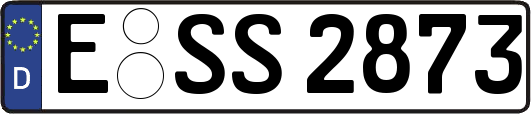 E-SS2873