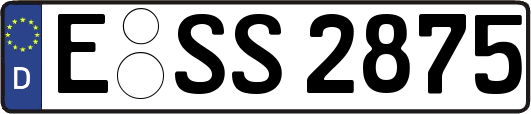 E-SS2875