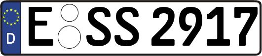 E-SS2917