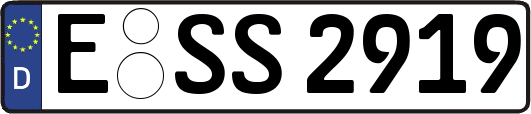 E-SS2919