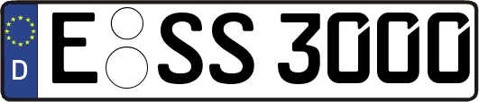 E-SS3000
