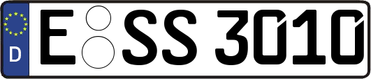 E-SS3010
