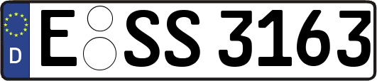 E-SS3163