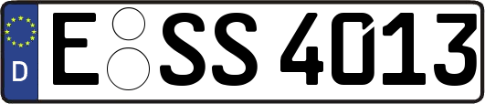 E-SS4013