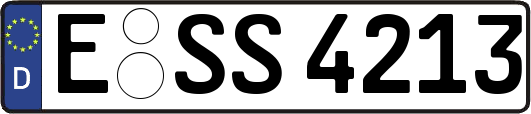 E-SS4213