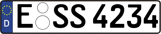 E-SS4234