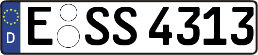 E-SS4313