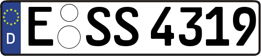 E-SS4319