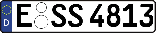 E-SS4813