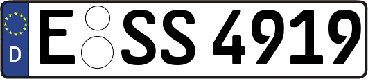E-SS4919