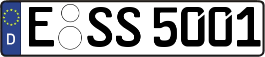 E-SS5001