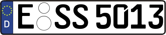 E-SS5013