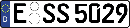 E-SS5029