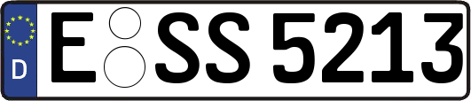 E-SS5213