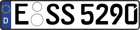 E-SS5290