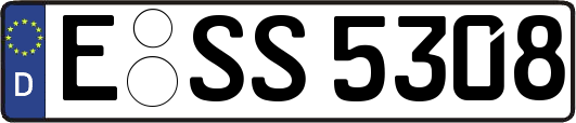 E-SS5308