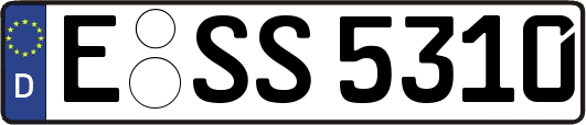 E-SS5310