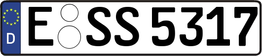 E-SS5317