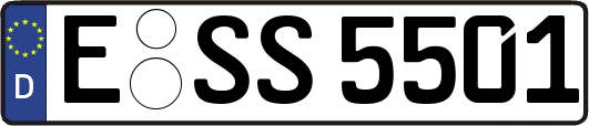 E-SS5501