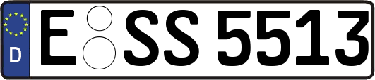 E-SS5513
