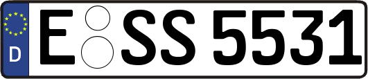 E-SS5531