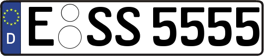 E-SS5555