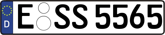 E-SS5565