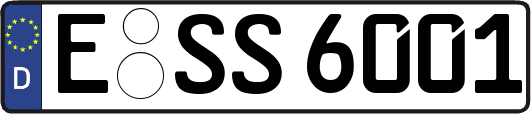 E-SS6001