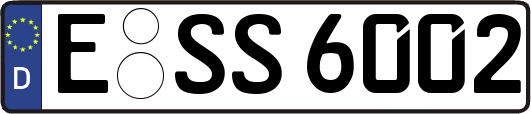 E-SS6002