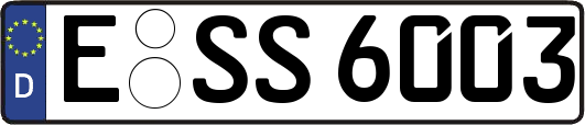 E-SS6003