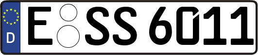 E-SS6011