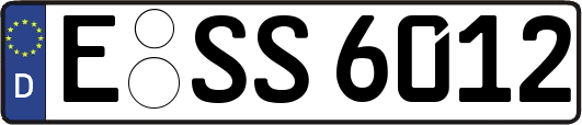 E-SS6012