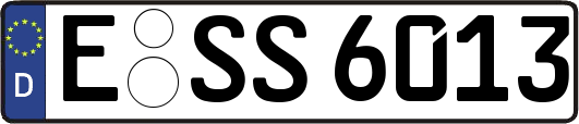 E-SS6013