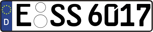 E-SS6017