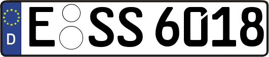 E-SS6018