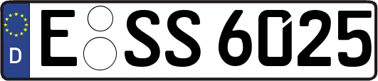 E-SS6025