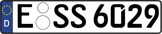 E-SS6029