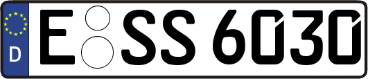 E-SS6030