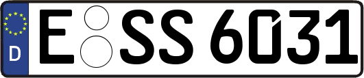 E-SS6031